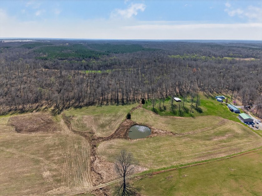 This expansive 210 acre farm features approximately 60 acres of - photo 2