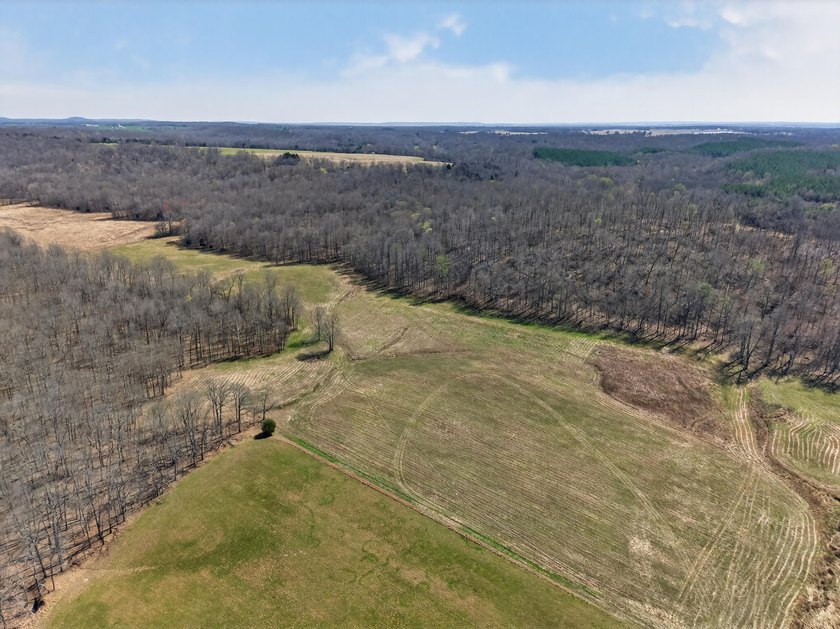 This expansive 210 acre farm features approximately 60 acres of - photo 3
