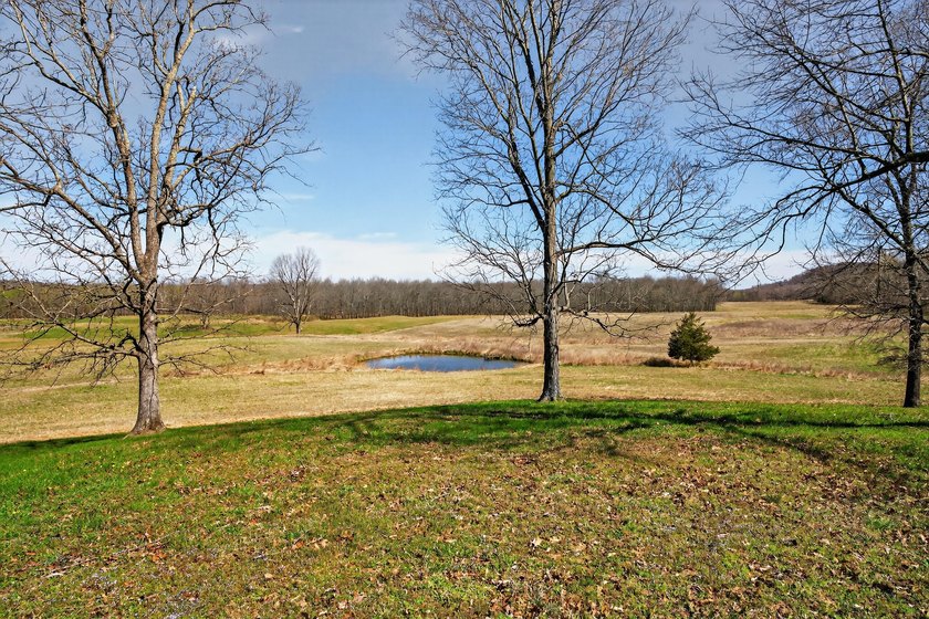 This expansive 210 acre farm features approximately 60 acres of - photo 9