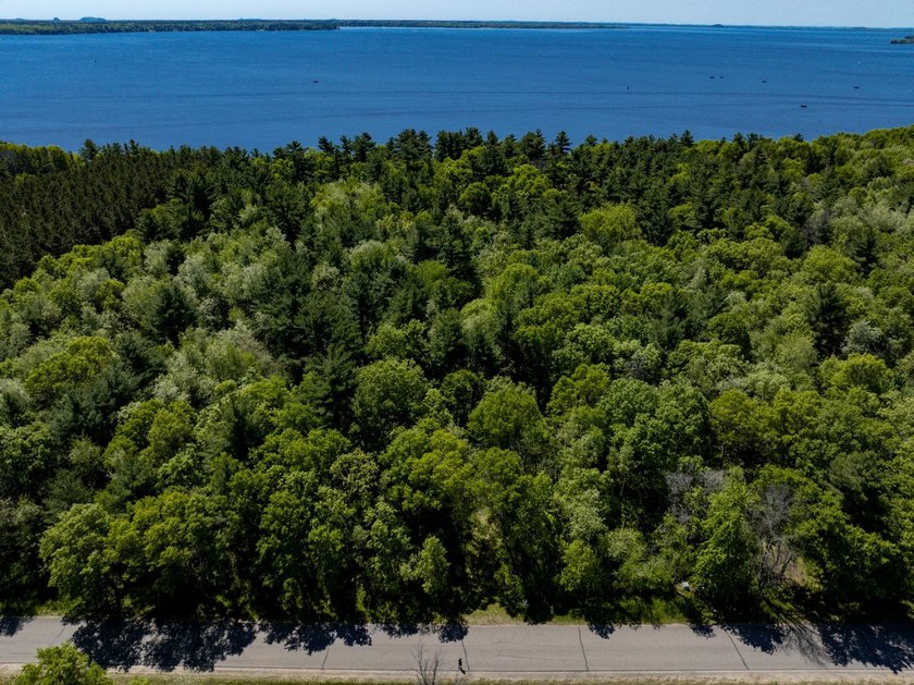 MOTIVATED SELLER! This is your chance to own a lot on Lake - photo 2