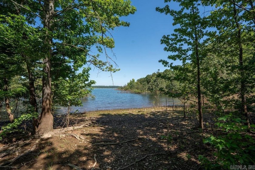 Lakefront living across from Thunderbird Country Club and Golf - photo 6