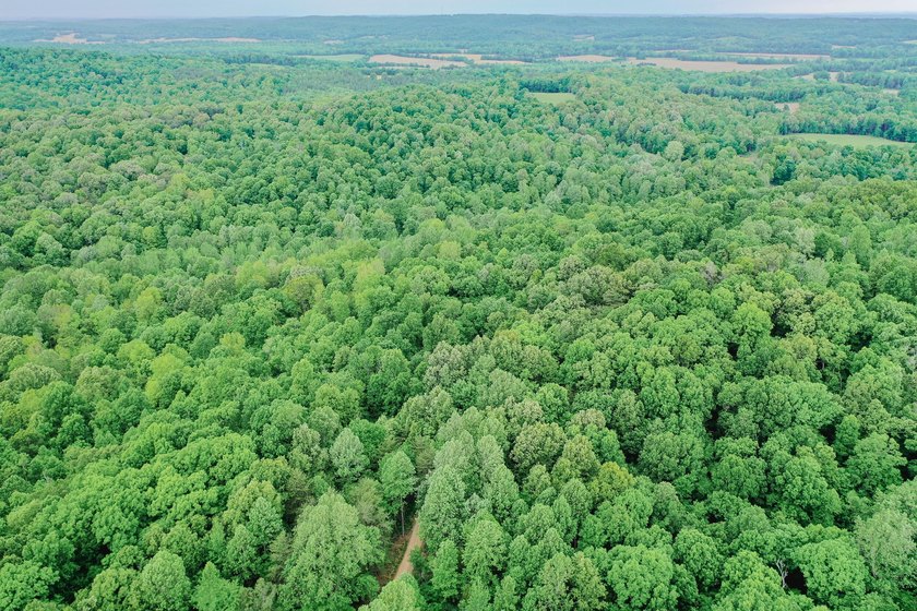 Great opportunity to own 14 acres of prime wooded hunting land - photo 4