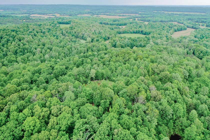 Great opportunity to own 14 acres of prime wooded hunting land - photo 5