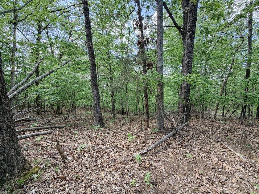 Great opportunity to own 14 acres of prime wooded hunting land - photo 6