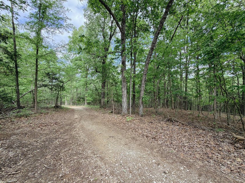 Great opportunity to own 14 acres of prime wooded hunting land - photo 7