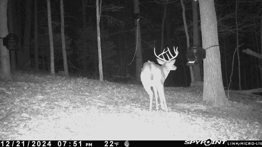 Great opportunity to own 14 acres of prime wooded hunting land - photo 8