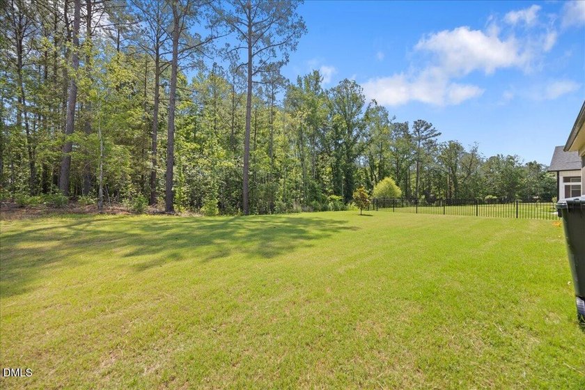 Welcome to 248 Falls Village Drive -- a stunning like-new home - photo 41