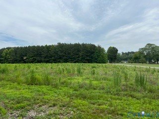 Exceptional opportunity on 19 acres featuring 3 cleared acres - photo 3