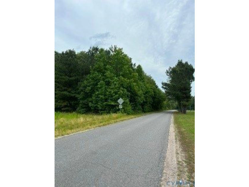 Exceptional opportunity on 19 acres featuring 3 cleared acres - photo 4
