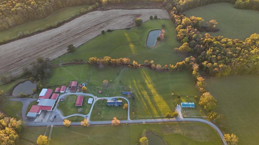 15 acres in Rienzi with room to build and enjoy the outdoors! - photo 12