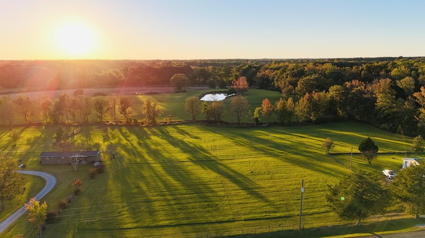 15 acres in Rienzi with room to build and enjoy the outdoors! - photo 13