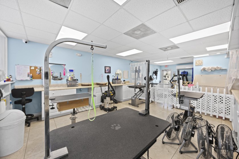 Well-established pet grooming salon in Deerfield Beach, located - photo 14