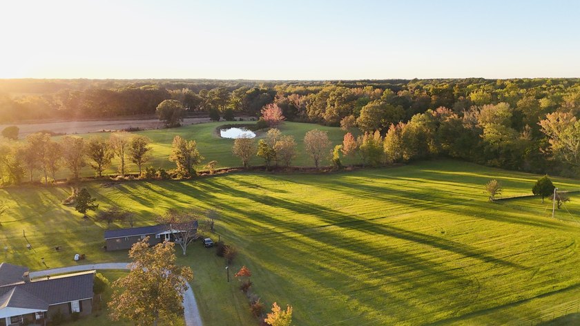 15 acres in Rienzi with room to build and enjoy the outdoors! - photo 15