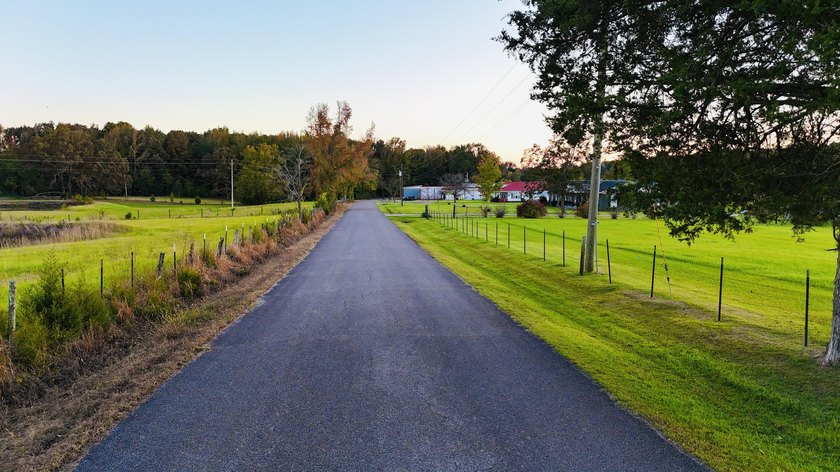 15 acres in Rienzi with room to build and enjoy the outdoors! - photo 17