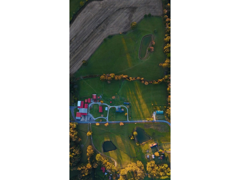15 acres in Rienzi with room to build and enjoy the outdoors! - photo 20