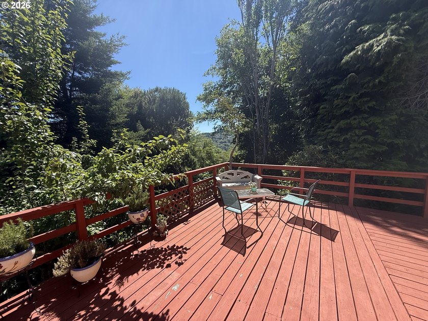 Mountain Views, Privacy &amp; Room for Everything! Nestled on 0.9 - photo 30