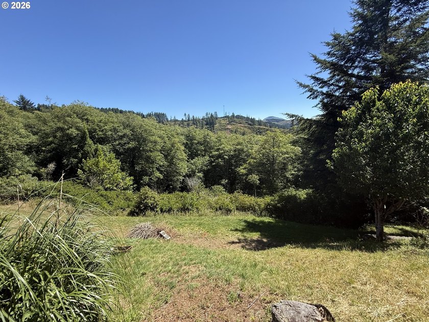 Mountain Views, Privacy &amp; Room for Everything! Nestled on 0.9 - photo 35