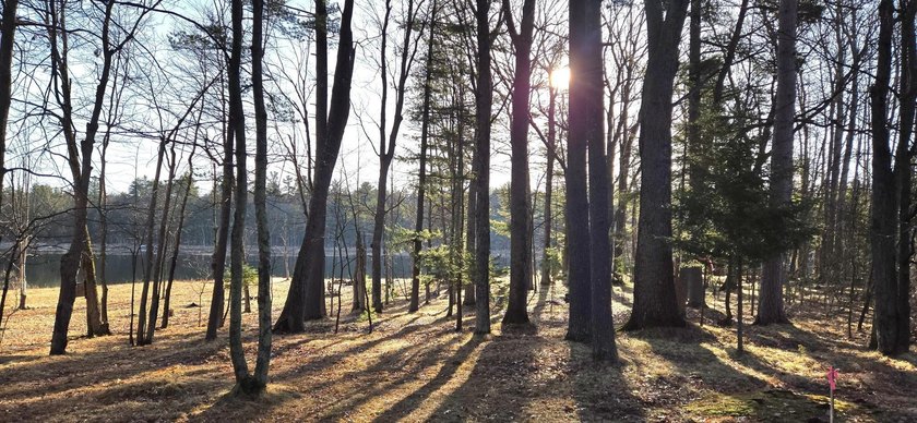 Discover the perfect Northwoods escape on beautiful Bayer Lake - photo 2