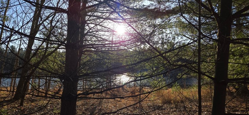Discover the perfect Northwoods escape on beautiful Bayer Lake - photo 10