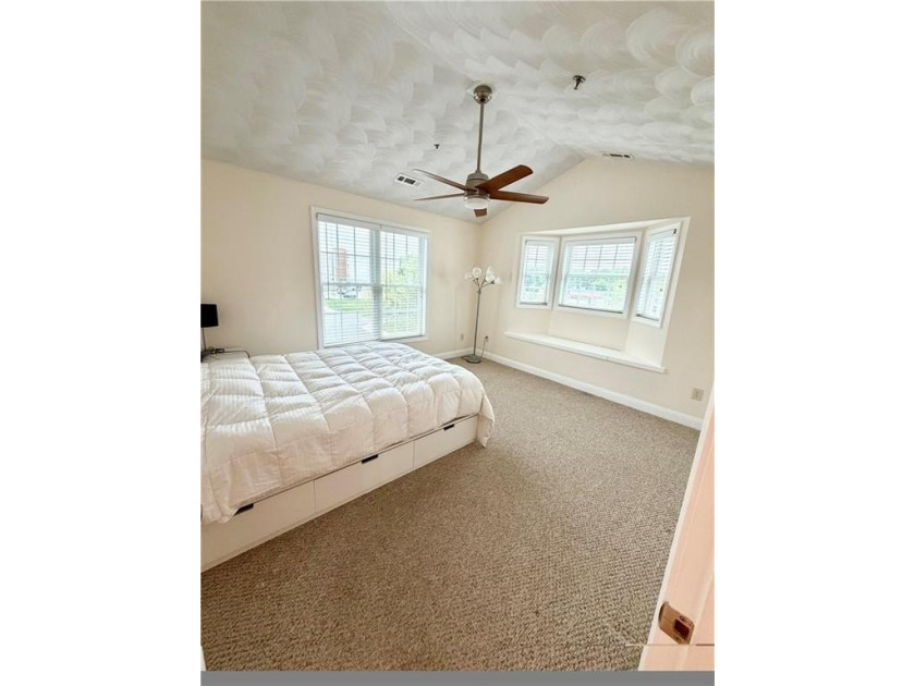 Move right in to this pristine condo located in the heart of - photo 9