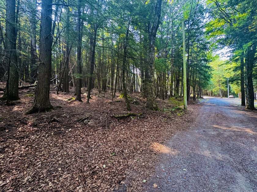 Located in a quiet lake community, this serene 1.02 acre parcel - photo 11