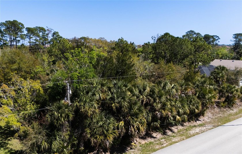 Prime duplex-zoned property in one of Palm Coast's most - photo 2