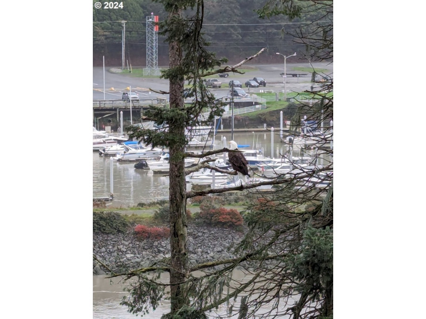 Perched above the beautiful Chetco River with sweeping river - photo 41