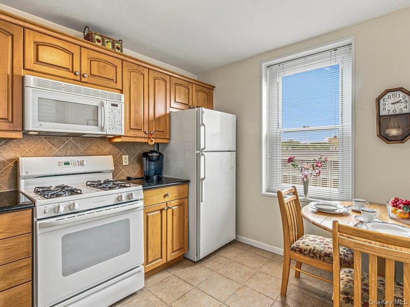 Bright and beautifully updated 2-bedroom move-in ready co-op in - photo 6