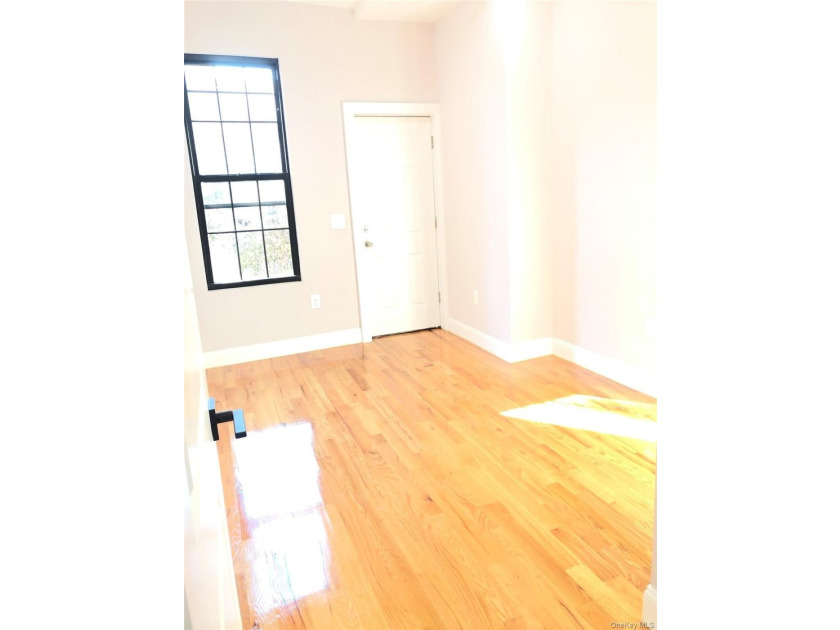 Beautiful Sunny Home in Prime Brooklyn Near Woodhaven, Queens - photo 9
