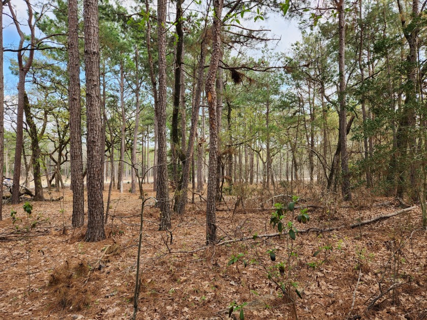 Build Your Dream Home in Legacy Shores on Lake Palestine - photo 10