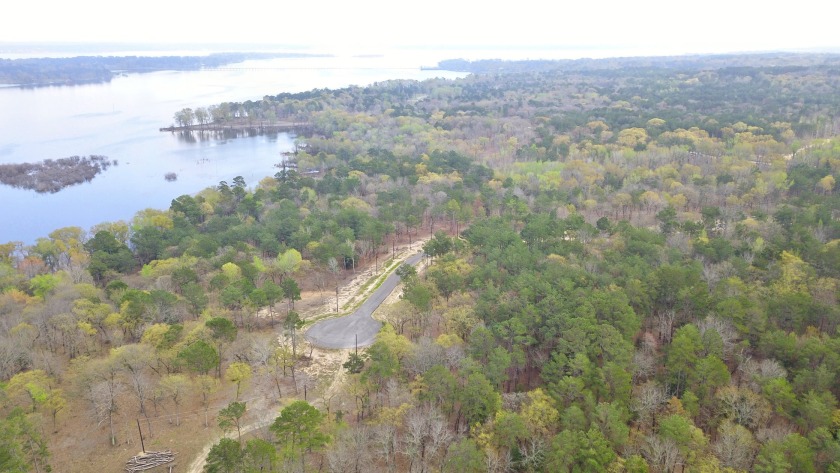 Build Your Dream Home in Legacy Shores on Lake Palestine - photo 13
