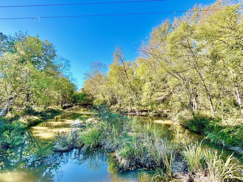 Water's Edge Ranch is a 2,150 acre gated community surrounding a - photo 2