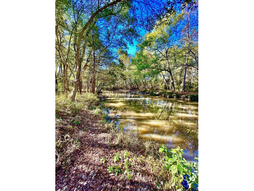 Water's Edge Ranch is a 2,150 acre gated community surrounding a - photo 3
