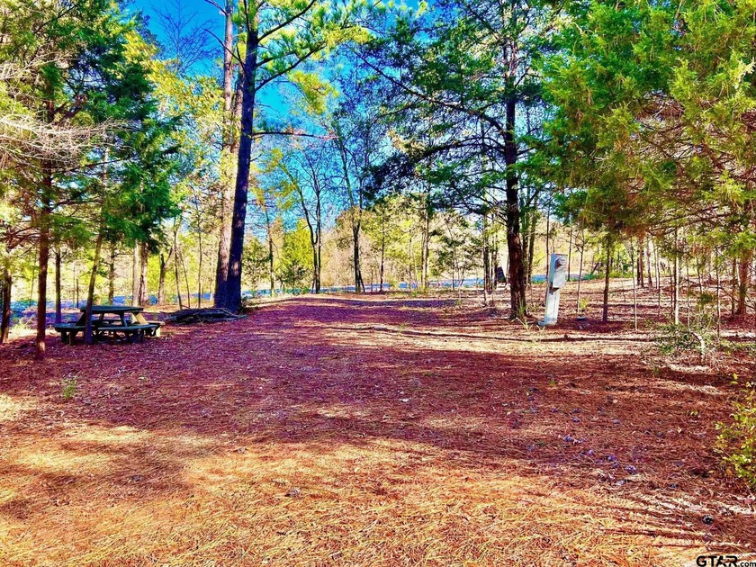 Water's Edge Ranch is a 2,150 acre gated community surrounding a - photo 5