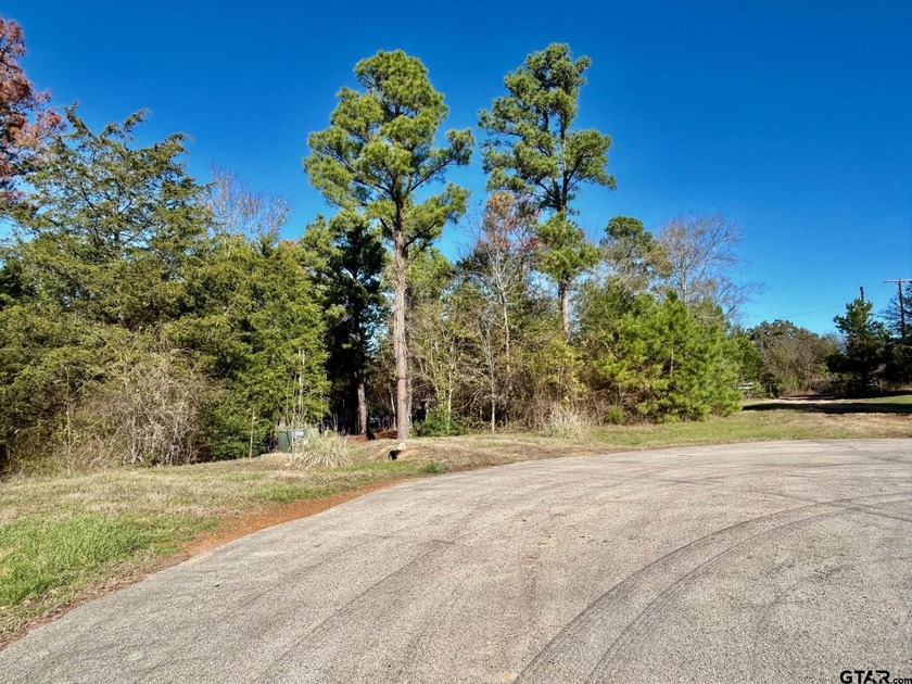 Water's Edge Ranch is a 2,150 acre gated community surrounding a - photo 7