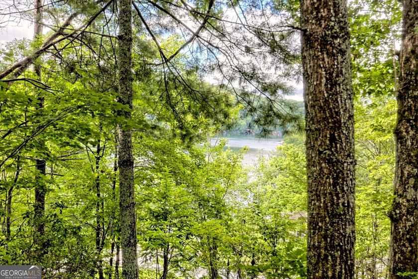 Nestled in the coveted Waterfall at Lake Burton community, this - photo 30