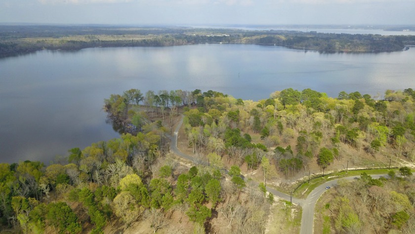Build Your Dream Home in Legacy Shores on Lake Palestine - photo 24