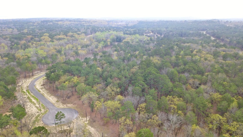 Build Your Dream Home in Legacy Shores on Lake Palestine - photo 14