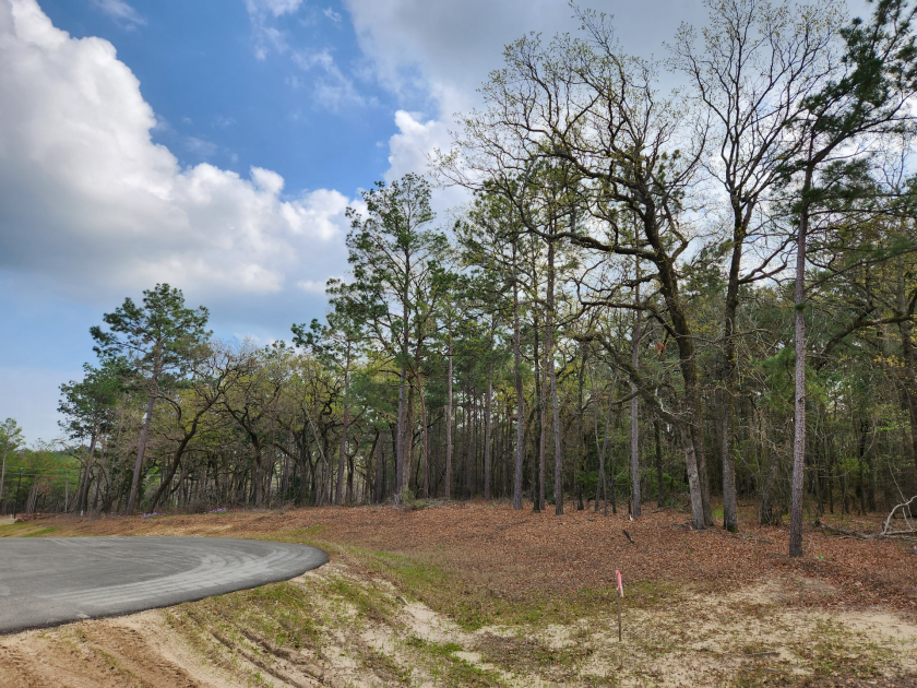 Build Your Dream Home in Legacy Shores on Lake Palestine - photo 3