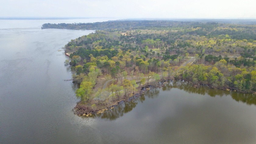 Build Your Dream Home in Legacy Shores on Lake Palestine - photo 22