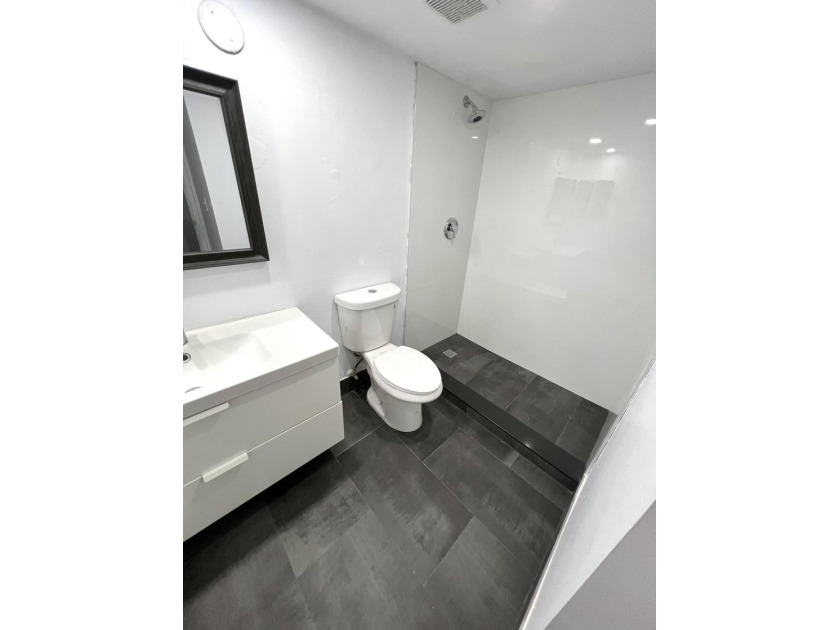 Recently remodeled 3-bedroom, 2-bath home in a prime location - photo 3