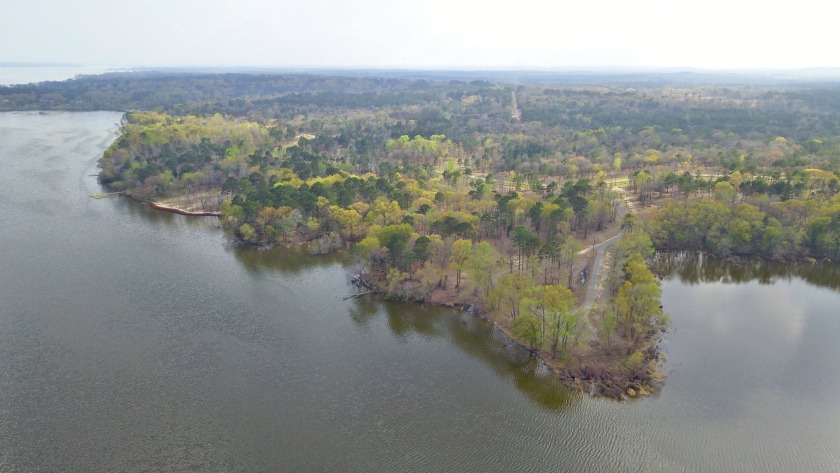 Build Your Dream Home in Legacy Shores on Lake Palestine - photo 23