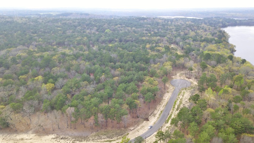 Build Your Dream Home in Legacy Shores on Lake Palestine - photo 17
