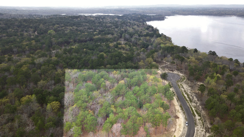 Build Your Dream Home in Legacy Shores on Lake Palestine - photo 16