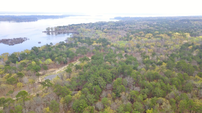 Build Your Dream Home in Legacy Shores on Lake Palestine - photo 15