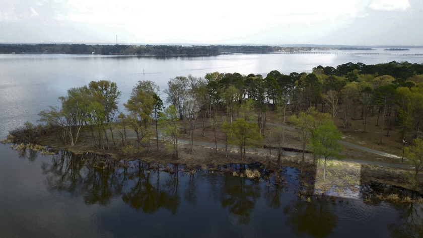 Build Your Dream Home in Legacy Shores on Lake Palestine - photo 19