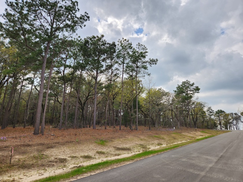 Build Your Dream Home in Legacy Shores on Lake Palestine - photo 4