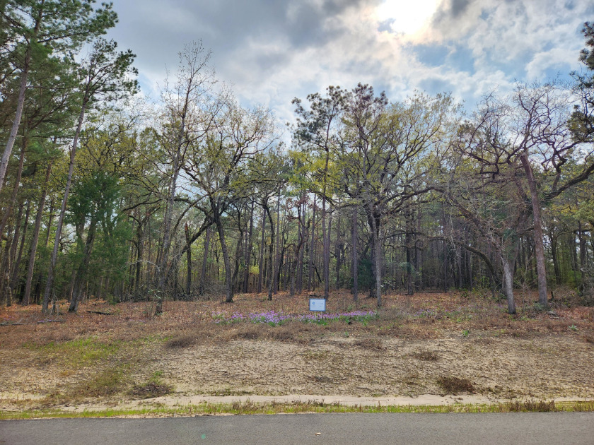 Build Your Dream Home in Legacy Shores on Lake Palestine - photo 5