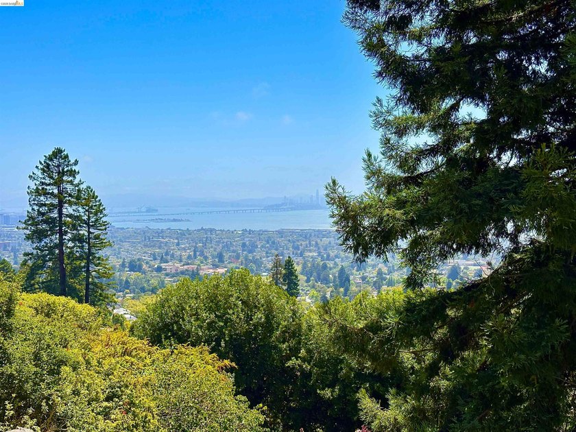 The Ultimate Luxury Canvas: Panoramic Bay Views &amp; Timeless - photo 35