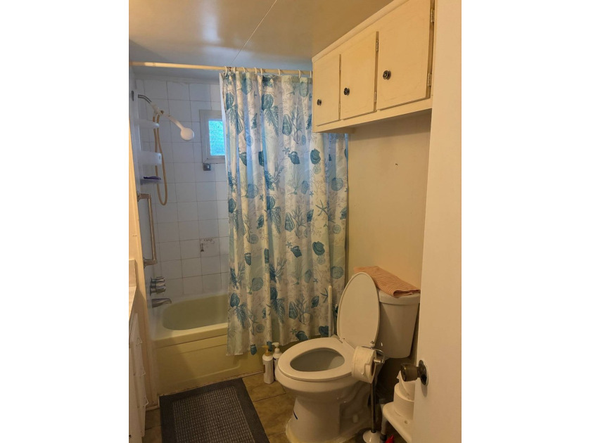 55+ community with the lowest lot rent in St. Petersburg! 3 - photo 14